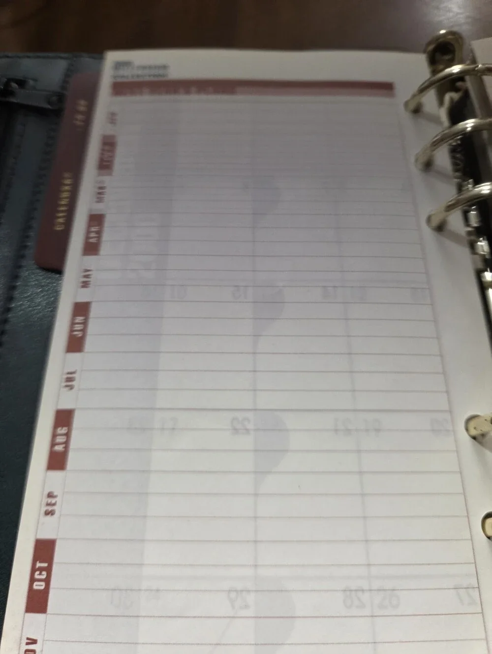 Y2k Organizer Planner Apego Green 8x6
